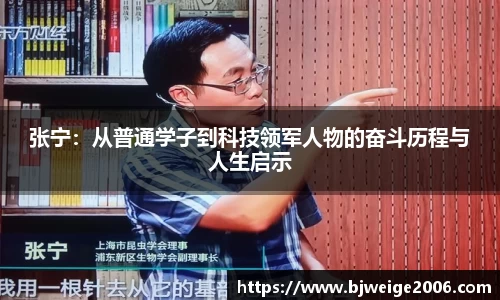 365英国上市